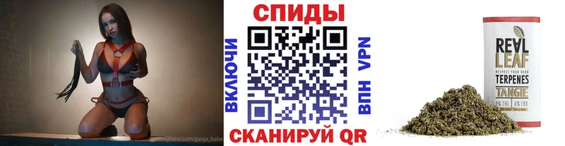 блэк спрут ссылки  Грозный  БУТИРАТ BDO 33% 
