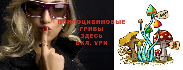 хмурый Костерёво