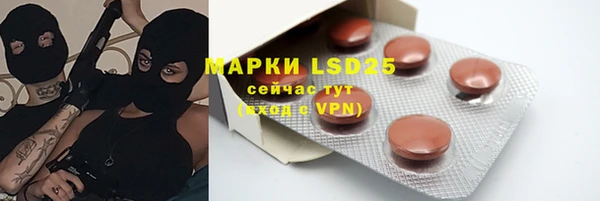 ГАЛЛЮЦИНОГЕННЫЕ ГРИБЫ Коряжма