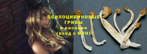 mix Корсаков