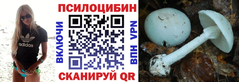 Галлюциногенные грибы Magic Shrooms  Грозный 