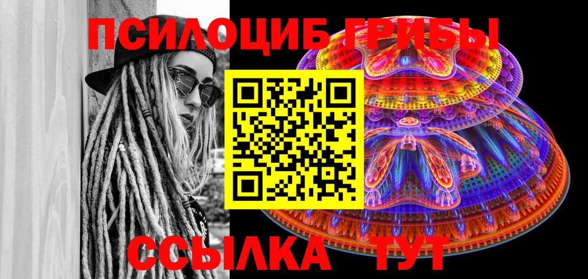 Галлюциногенные грибы прущие грибы  Грозный 