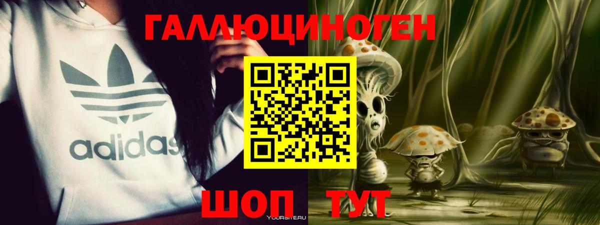 Галлюциногенные грибы мицелий Грозный