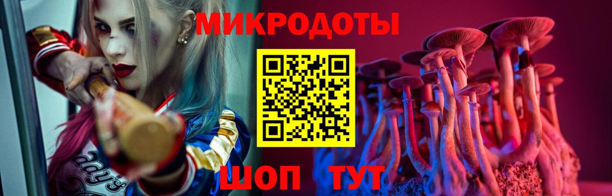 Псилоцибиновые грибы Psilocybine cubensis  Вход с VPN  Грозный 